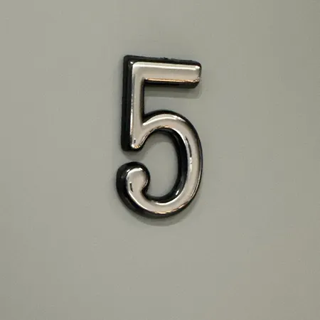 Daire 55 *